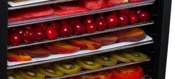 Рейтинг лучших сушилок для овощей и фруктов 2020. ТОП 7