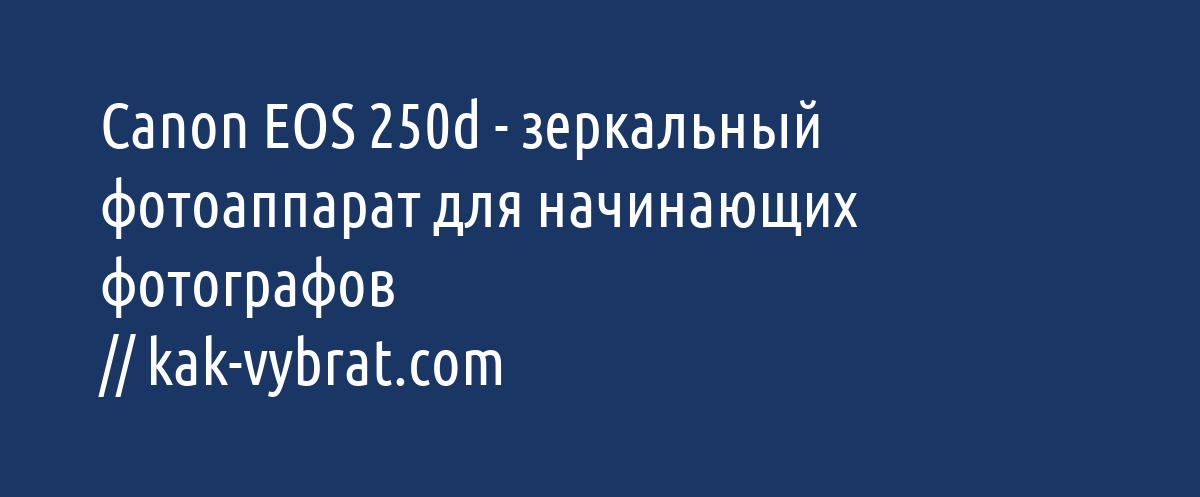 Зеркальный фотоаппарат для начинающих фотографов Canon EOS 250d ...